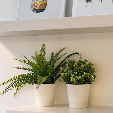 Apartman Comfortable In Marques De Pombal Lisboa